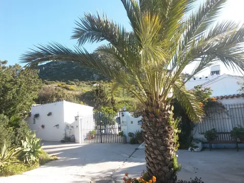 Wohnung 40 m² in Casares (4/12)
