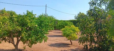 Wohnung 180 m² in Pollença