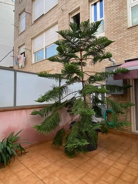 Pis de 46 m² a Saragossa