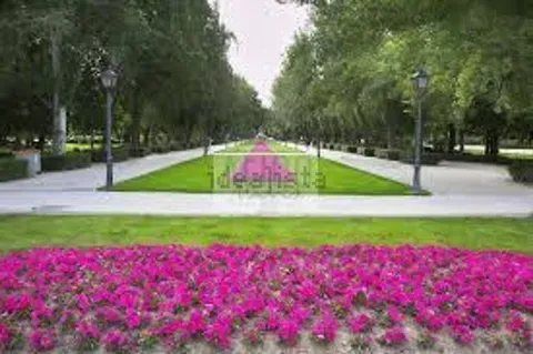 Pis de 181 m² a Madrid