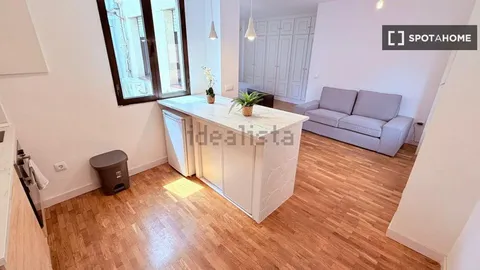 Pis de 30 m² a Madrid