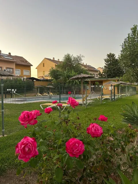 Habitació de lloguer, Cártama