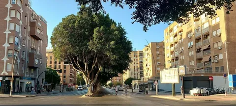 Habitació de lloguer, Almeria