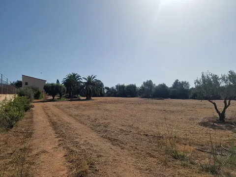 Appartamento 150 m² a Son Servera