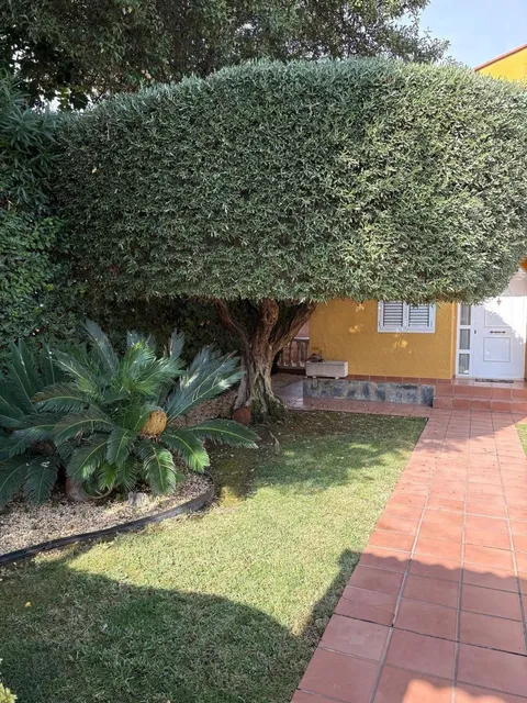 Moradia 330 m² em Riba-roja de Túria