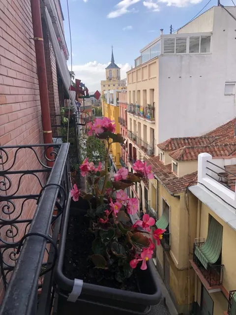 Habitació de lloguer, Madrid