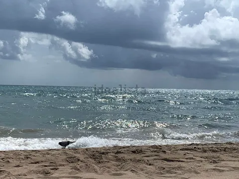 Stanza in affitto, Gavà