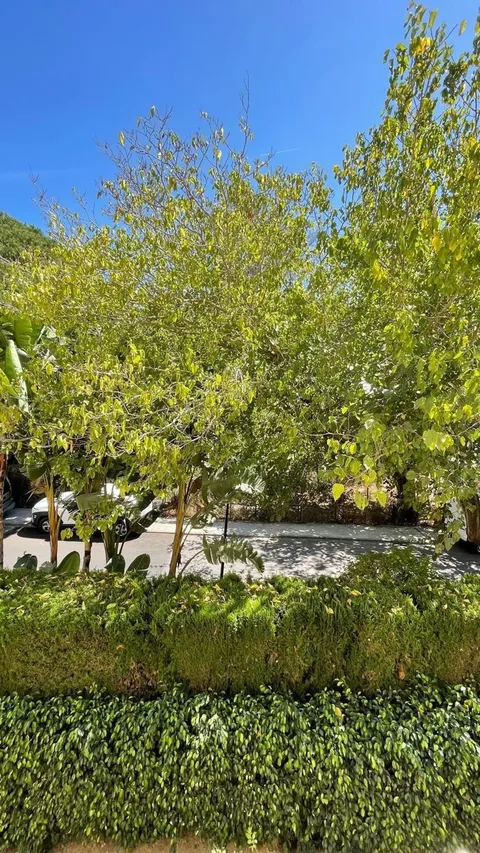 Pis de 90 m² a Marbella