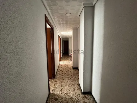 Habitació de lloguer, Elx