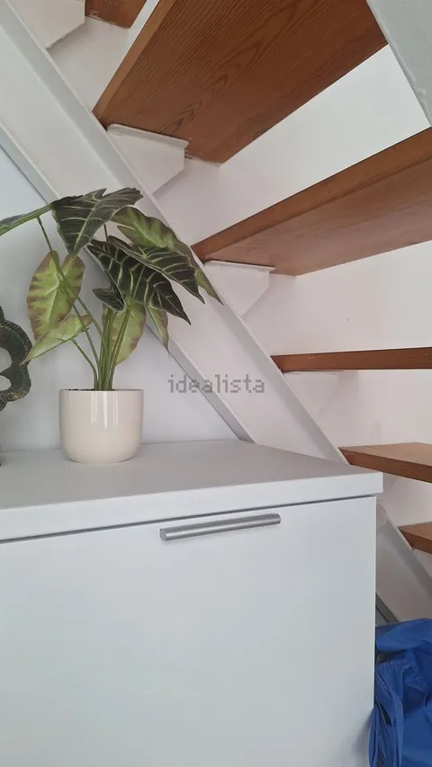 Habitació de lloguer, Sevilla