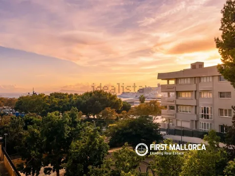 Pis de 230 m² a Palma