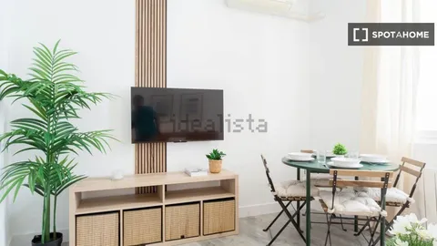 Pis de 30 m² a Madrid