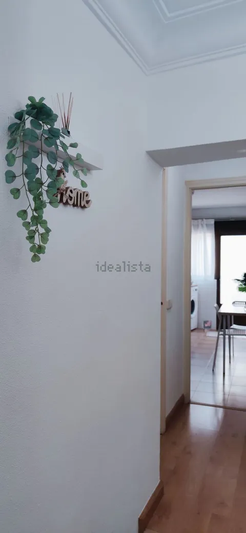 Habitació de lloguer, Guadalajara