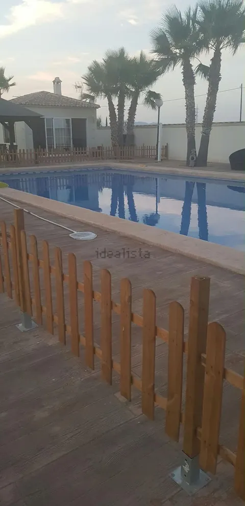 House 800 m² in Elx / Elche (4/9)