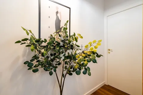 Habitación en alquiler, Barcelona
