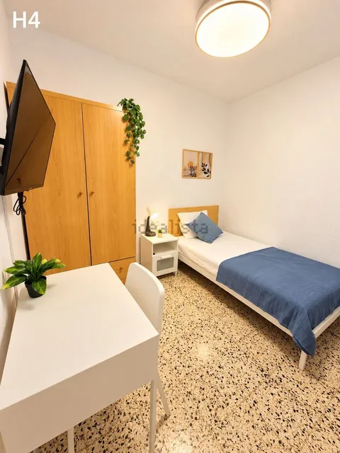 Habitació de lloguer, Alzira