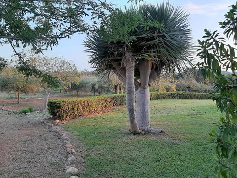 Casa de 240 m² a Manacor