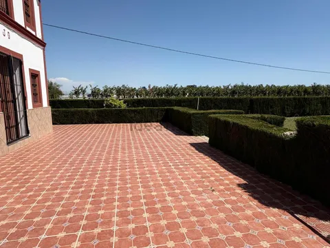 Stanza in affitto, Valencia