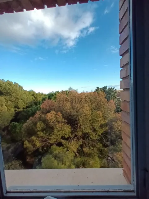 Habitació de lloguer, Burjassot
