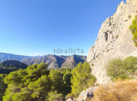 Habitació de lloguer, Álora