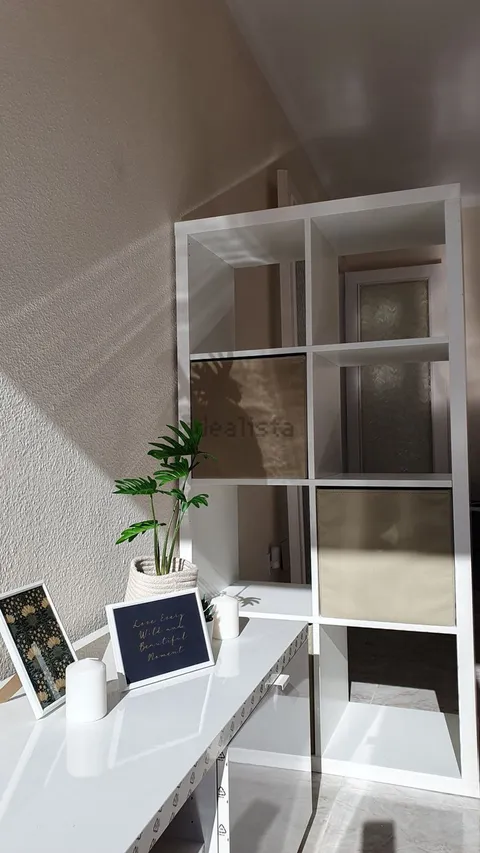 Stanza in affitto, Palma