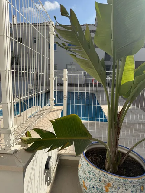 Pis de 115 m² a Benalmádena