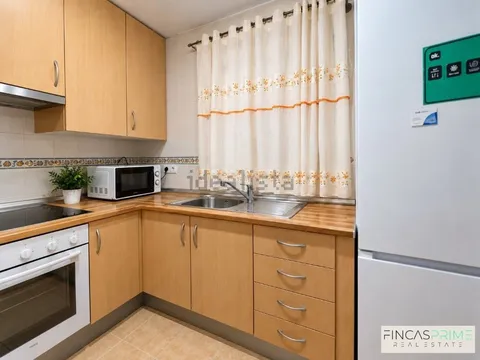 Habitació de lloguer, Benidorm