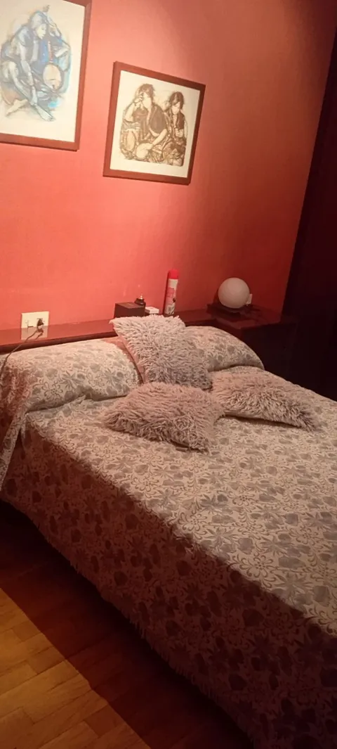 Habitació de lloguer, Saragossa