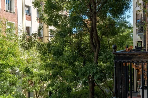 Room for rent, Madrid (2/18)