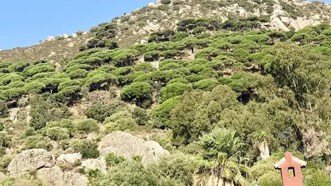 Apartamento 130 m² em Tarifa