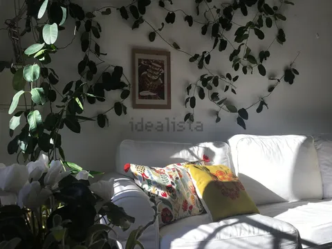 Stanza in affitto, Cuenca (2/9)