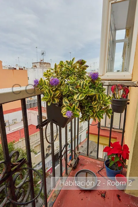 Stanza in affitto, Cádiz