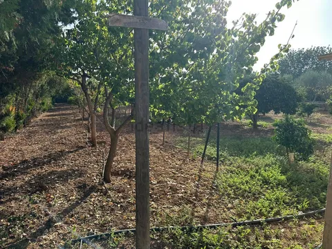 Pis de 614 m² a Sencelles