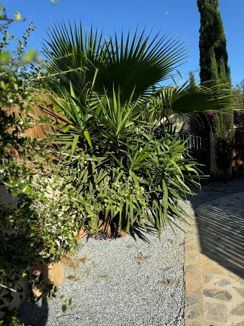 Casa de 218 m² en Sencelles
