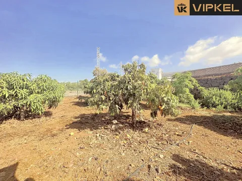 Casa de 55 m² a Adeje