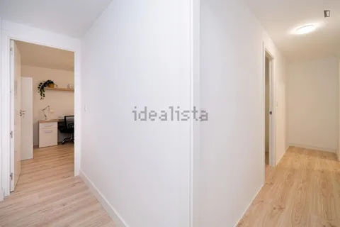 Habitació de lloguer, Elx