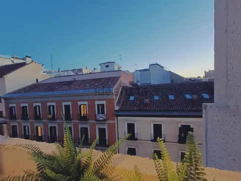 Stanza in affitto, Madrid