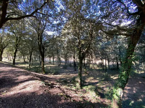 Moradia 40 m² em el Brull