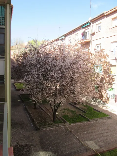 Appartamento 65 m² a Madrid
