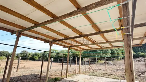 Habitació de lloguer, Fontanilles