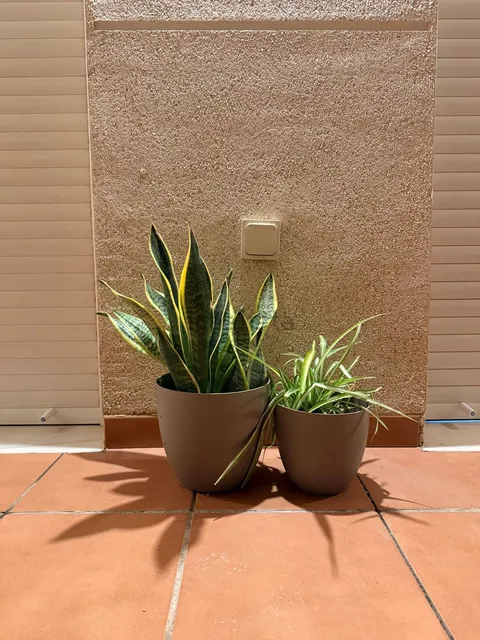 Zimmer zur Miete, Málaga