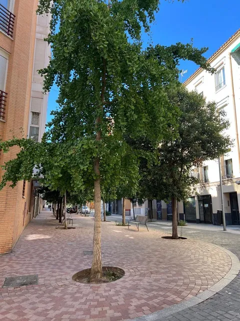 Pis de 72 m² a Madrid