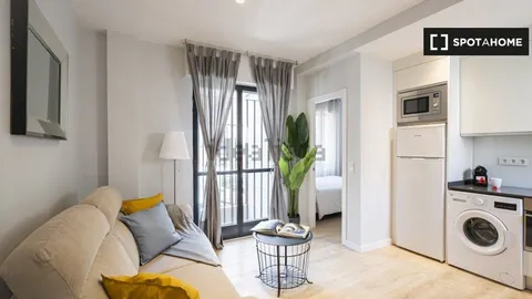 Pis de 34 m² a Madrid