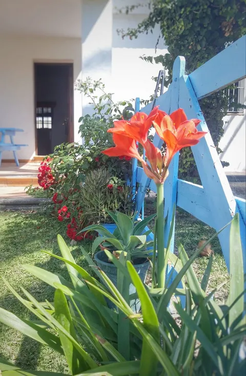 Casa de 120 m² a Vejer de la Frontera