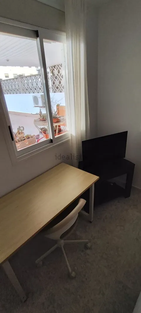 Habitació de lloguer, Palma