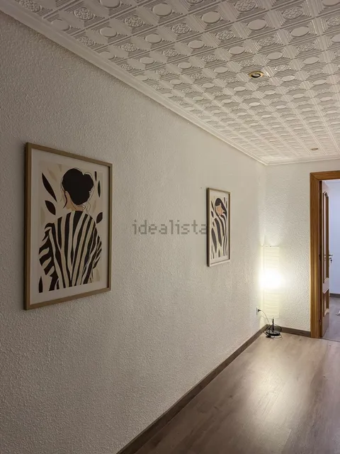 Habitació de lloguer, Elx