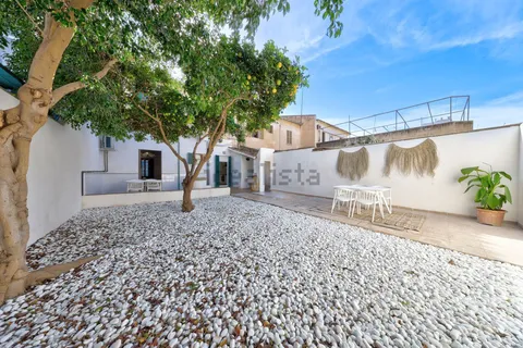 Habitació de lloguer, Palma