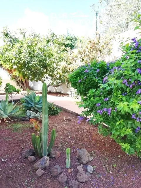 Pis de 85 m² a El Rosario (3/14)