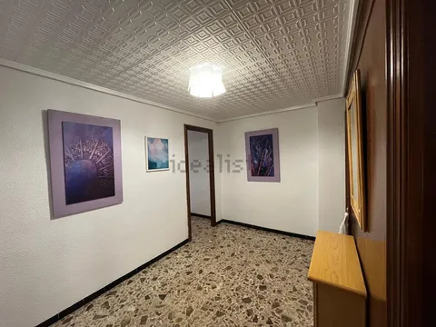 Habitació de lloguer, Elx