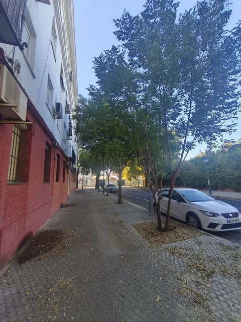Habitació de lloguer, Sevilla